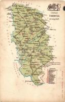 1900 Torontál vármegye térképe; kiadja Károlyi Gy. / Map of Torontál county (kopott sarkak / worn corners)