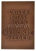 Képíró Zoltán (1944-1981) DN "UNIVERSITAS SCIENTIARUM MEDICINAE SZEGED" kétoldalas Br plak...
