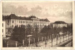 59 db főleg MODERN magyar és külföldi városképes lap / 59 mostly modern Hungarian and European town-...