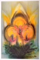 Macskássy Izolda: Karácsonyi Album. Bp., 1998, Paginarum. Kiadói aranyozott, zsinórfűzött egészbárso...