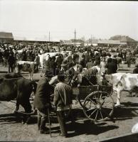 cca 1960 Kecskemét és városkörnyéki felvételek, 21 db szabadon felhasználható vintage negatív, 6x6 c...
