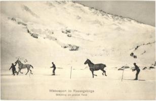 Wintersport im Riesengebirge, Skikjöring am grossen Teich / Skijoring with horses on the frozen lake, winter sport