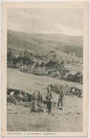 5 db RÉGI első világháborús osztrák-magyar katonai lap. Az Érdekes Újság kiadása / 5 WWI K.u.K. mili...