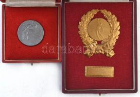 ~1950. 6db-os vegyes sport- és díjérem tétel, mind eredeti tokban, főleg röpladba tematikában T:2,2-