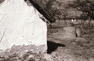 cca 1982 Kecskeméti városképek, utcaképek épületek, életképek, 79 db vintage negatív, 24x36 mm