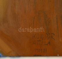 Kondor Attila (1974-): Kert az ajtóból. Olaj, vászon, jelzett, 70×40 cm