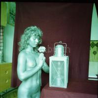 cca 1985 Aktfotózás szabadon, szolidan erotikus vintage fotó + 6 db vintage negatív (a papírkép és a...