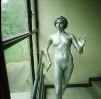 cca 1983 Csábosak és bájosak, 2 db szolidan erotikus vintage fotó + 6 db vintage negatív (a papírkép...