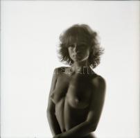 cca 1975 Meztelen modellek, szolidan erotikus vintage fotó + 8 db vintage negatív (a papírkép és a n...