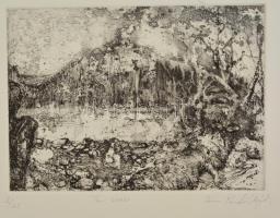 Iréne Radó Vajda (1952-): The river. Rézkarc, papír, jelzett,18,5×26,5 cm