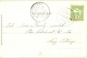 1908 Dunavecse, Első Dunavidéki gőzmalom. Kiadja Wolff Arthur fényképész (EK)