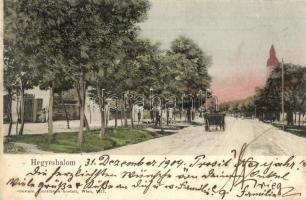 1904 Hegyeshalom, Fő utca, szekér. Oesterr. Lichtdruck Anstalt (EK)