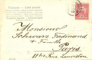 1904 Hegyeshalom, Fő utca, szekér. Oesterr. Lichtdruck Anstalt (EK)