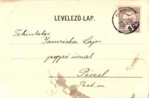 1900 Nagykőrös, Csolnakázó park, csónakok. Kiadja Nachbargauer János