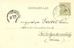 1903 Pilicsaba, Tábori vasútállomás, gőzmozdony, szerelvények