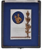 1955. "Kiváló Társadalmi Munkáért 1955 VII. ker. T.S.B." aranyozott, zománcozott fém plake...