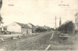 1909 Bácstopolya, Topolya, Backa Topola; Gróf Zichy utca. Riesz Béla kiadása / street