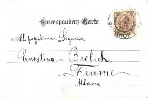 1897 (Vorläufer!) Innsbruck gegen Süden. floral, litho