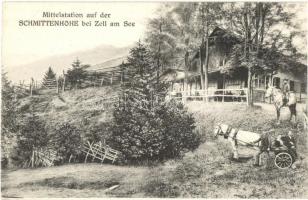 Schmittenhöhe, Mittelstation bei Zell am See / horse chariot, Restaurant Schweizerhütte