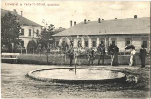 1905 Félixfürdő, Baile Felix; Szökőkút. Kiadja Engel József / fountain