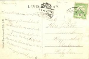 1905 Félixfürdő, Baile Felix; Szökőkút. Kiadja Engel József / fountain