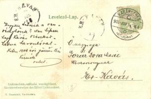 1906 Karánsebes, Caransebes; Lichtneckert szállodai vendéglőkert, étterem, pincérek. Kiadja H. Rosen...