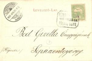 1905 Kézdivásárhely, Targu Secuiesc; Fő tér északi oldala, Dávid Gyula üzlete, Piaci árusok, vásár /...