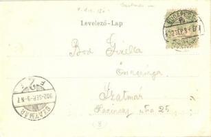 1902 Nagykároly, Carei; Kalmand utca, üzlet, kocsma. Kiadja Csókás László / street view, shop, inn