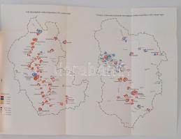 Sepsiszéki Nagy Balázs: Székelyföld falvai a XX. század végén. II. kötet: Csík-, Kászon- és Gyergyós...