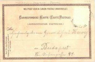 1898 Passo della Mendola, Mendelpass, Mendel Pass (Südtirol); Hotel & Pension Mendelhof, H. Spre...