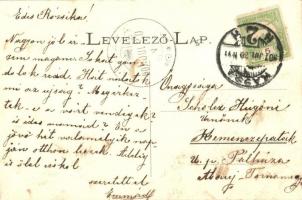 1907 Kassa, Kosice; Fő utca, Andrássy kávéház, üzletek, piac, kesztyűgyár / main street, café, shops...