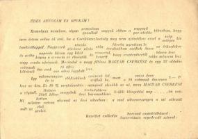 Előre megírt levelezőlap cserkésztáborból küldéshez / Hungarian scout art postcard s: Márton L