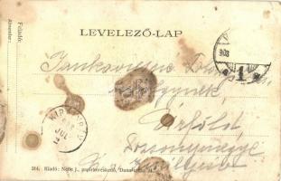 1908 Pozsony, Pressburg, Bratislava; III. Bimbóház étterem, nyaraló, kert. Kiadja Neffe J. 214. / 3t...