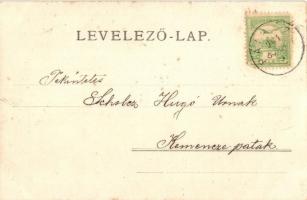 1904 Füzérradvány, Radvány; utcakép, ház. photo (EB)