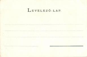 Tátra, Magas Tátra, Vysoké Tatry; Tarpatakfüred szálloda, Lomnici csúcs. Kiadja Cattarino 121. / Hot...