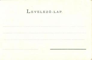 Tátra, Magas Tátra, Vysoké Tatry; Zerge szálloda a tarpataki völgyben. Kiadja Cattarino 125. / Hotel...