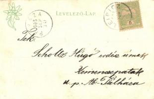 1905 Tátrafüred, Ótátrafüred, Altschmecks, Stary Smokovec (Tátra, Magas Tátra, Vysoké Tatry); R. kat...