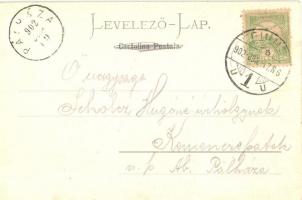 1902 Fiume, Rijeka; Palazzo Adria e governo maritimo / Adria Palast u. Seebehörde / palace, maritime...