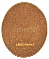 Horvátország DN "Honvédelmi Minisztérium" zománcozott fém érem eredeti dísztokban, hátolda...