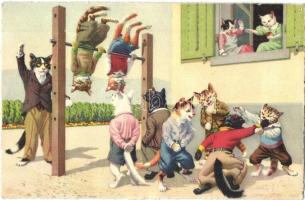 Cats exercising at the cat schoolyard, physical education. Max Künzli No. 4571. - modern postcard (ragasztónyom / glue marks)