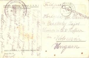 Legiony Polskie II i III Pulk w Karpatach / WWI Polish Legions II & III in the Carpathian Mounta...