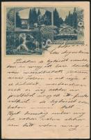 cca 1900 Marilla Szanatórium fejléces levélpapírja