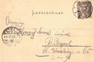 1901 Nagyvárad, Oradea; Szent László tér, Ausländer, Deutsch üzlete, szálloda, piaci árusok. Kiadja ...