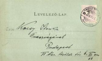 1899 Kolozsvár, Cluj; Sétatéri tó a korcsolya csarnokkal. Ferencz és Társa fényképészeti műterméből ...