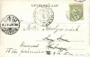 1902 Pöstyén, Pistyan, Piestany; látkép. Kiadja A. Bernas / Totalansicht / general view (kis sarokhi...