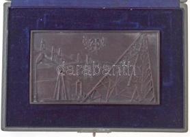 1962. "Barátság Nemzetközi Kőolajvezeték 1962" kétoldalas Br plakett, eredeti tokban (76,5...