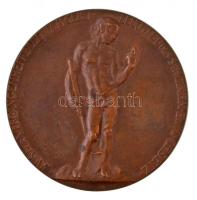 1904. "Aus der Vergangenheit bildendem Geist leuchtet des Schönen ewig Gesetz" Br emlékére...