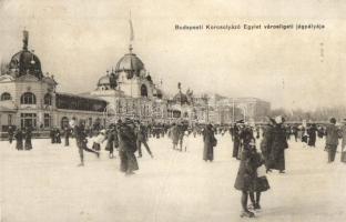 Budapest XIV. Városliget, Budapesti Korcsolyázó Egylet városligeti jégpályája, jégkorcsolya, téli sport (fa)