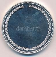 Csóka Zsuzsanna (1962-) 2004. "MÉE Bajai Csoport - Szt. István országa újra Európában" ezü...