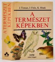 J. Toman-J. Felix-K. Hísek: A természet képekben. Környezetünk növény- és állatvilága. Bp.,1983,Natura. Második, változatlan kiadás. Kiadói egészvászon-kötés, kiadói papír védőborítóban, jó állapotban.